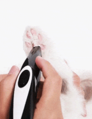 Electric Pet Paw Hair Trimmer