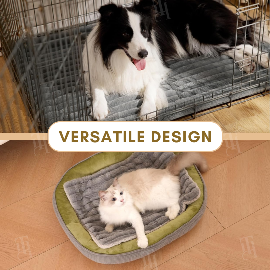 Warmth Without the Worry | Self-Warming Pet Mat