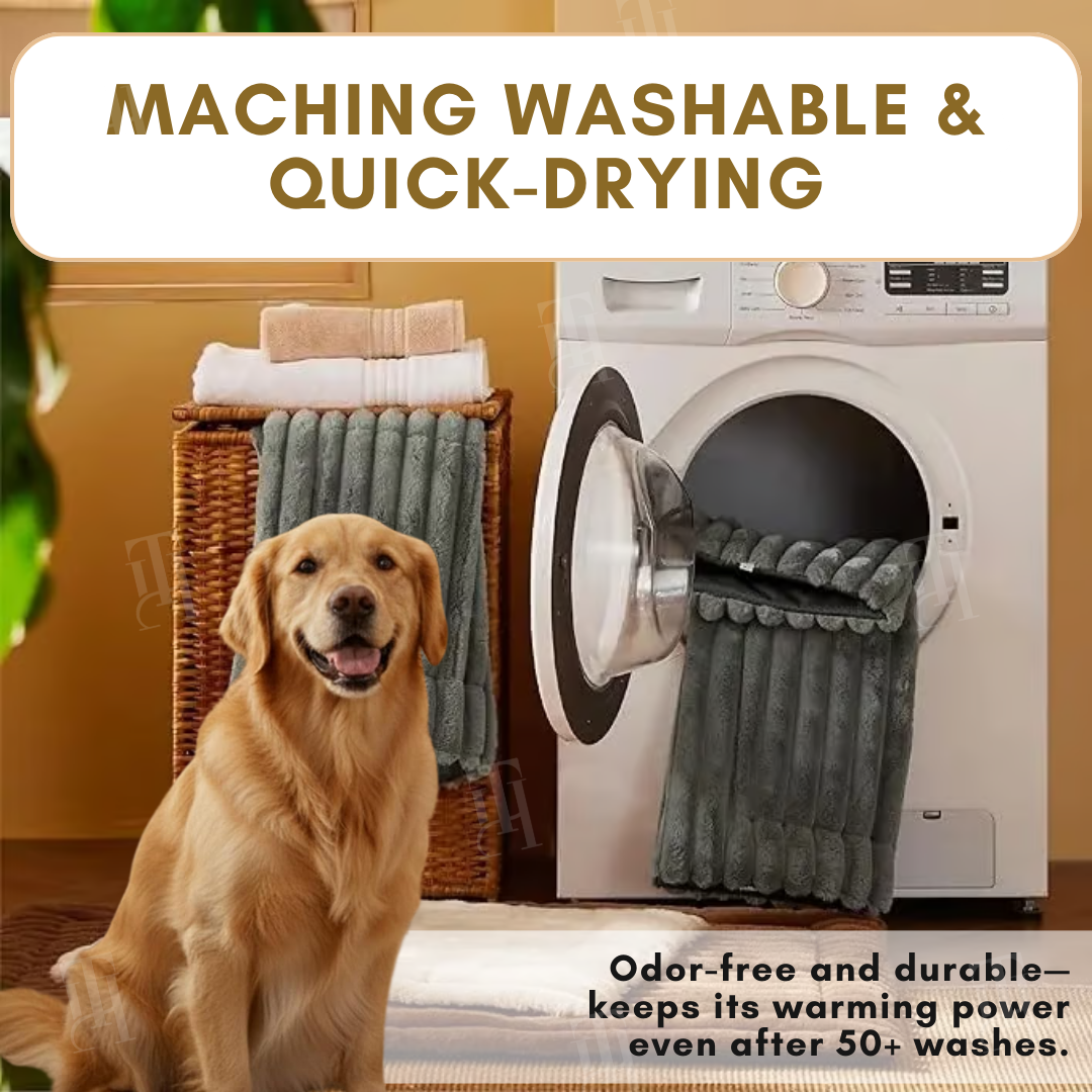 Warmth Without the Worry | Self-Warming Pet Mat
