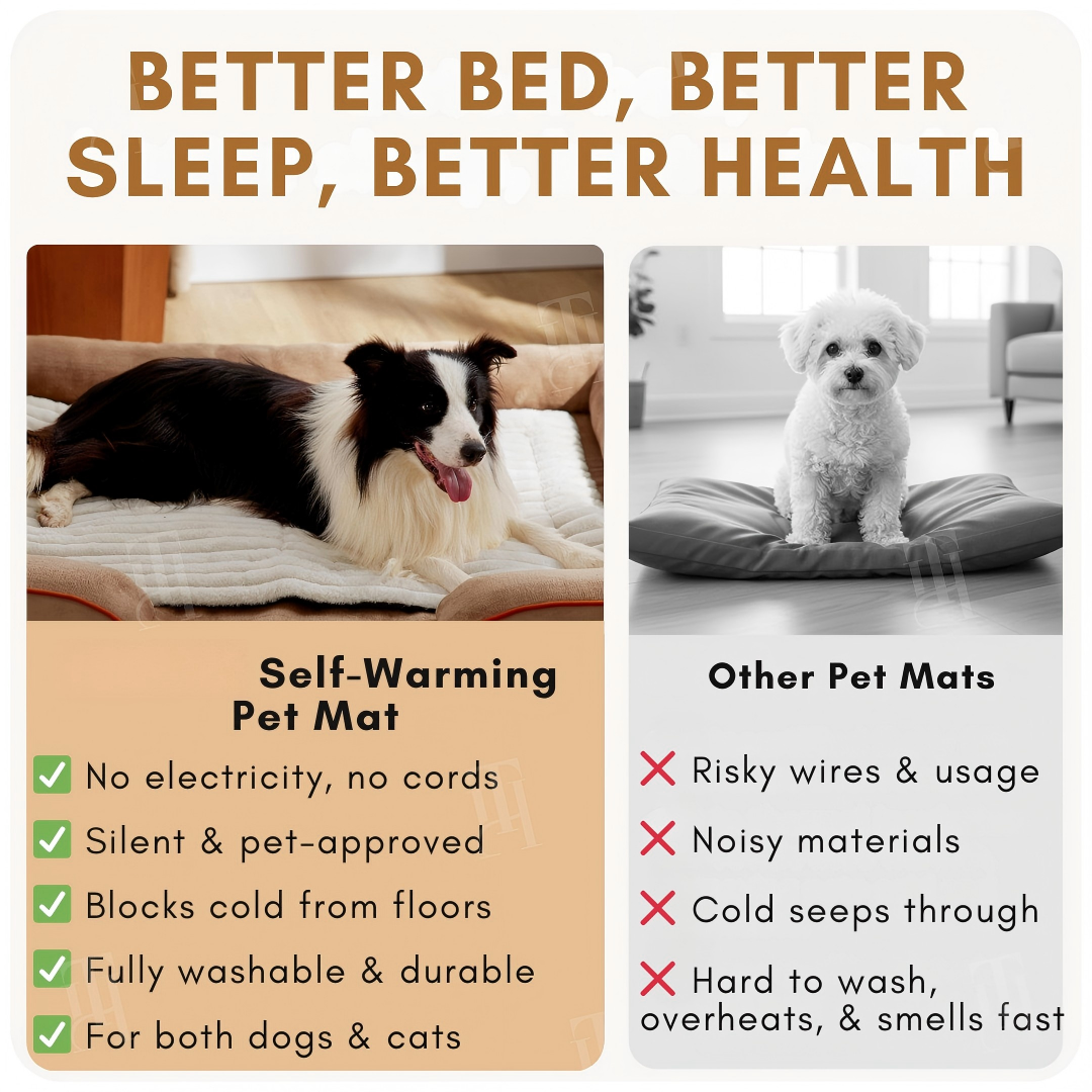 Warmth Without the Worry | Self-Warming Pet Mat