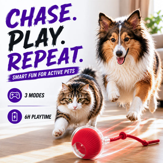 Smart Chase Pet Toy Ball
