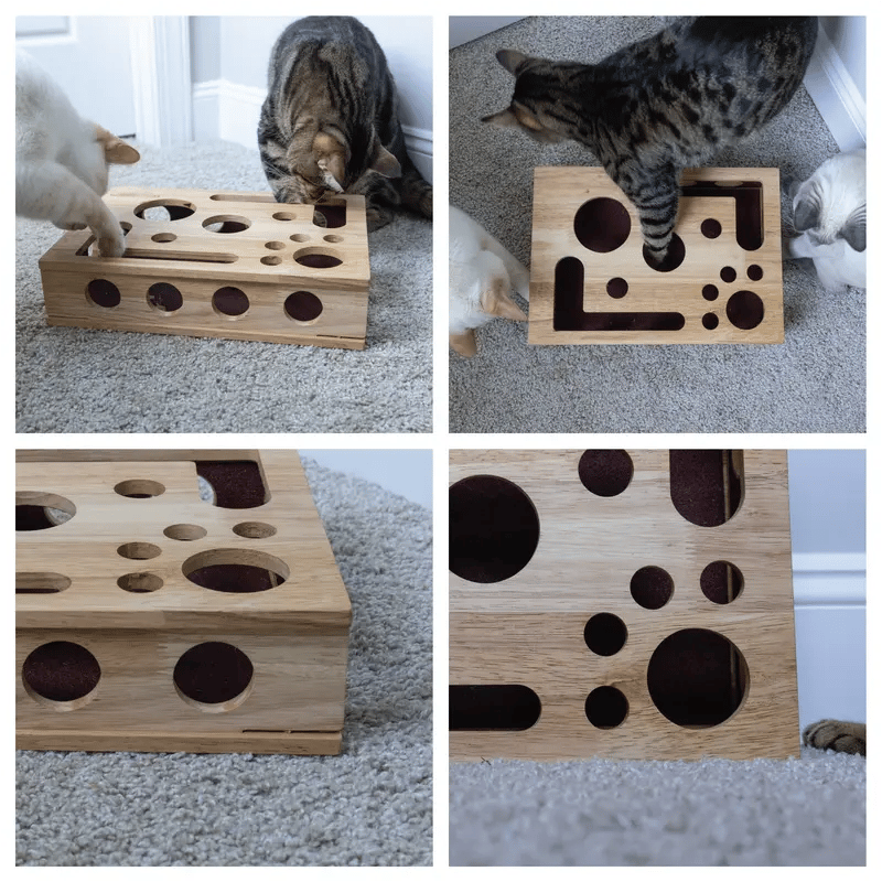 🎁😻 Cat Scratch Puzzle Enrichment Box Stress-Free Nail Care Without Clippers or Grinders