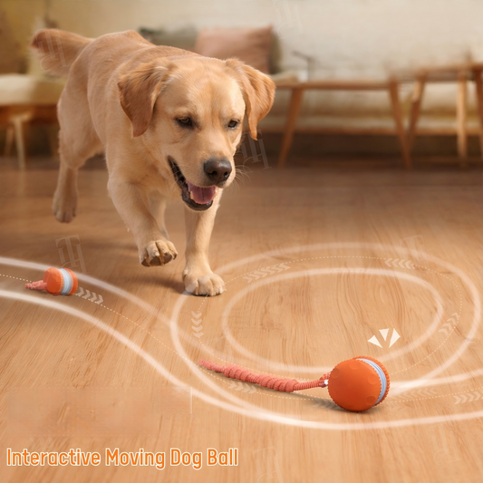 Smart Interactive Dog Ball ⚡ Self-Rolling & Durable TPU | Cures Boredom