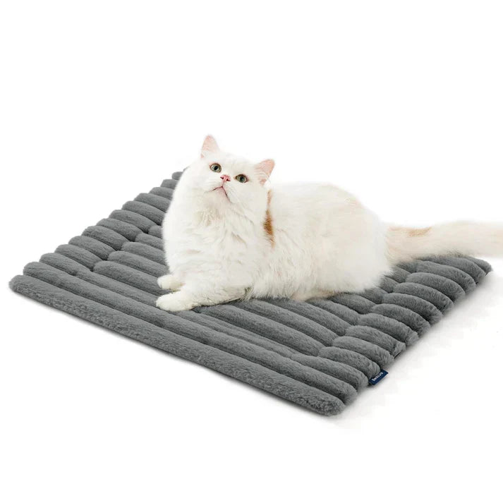 Warmth Without the Worry | Self-Warming Pet Mat
