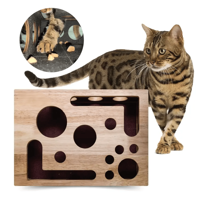 🎁😻 Cat Scratch Puzzle Enrichment Box Stress-Free Nail Care Without Clippers or Grinders