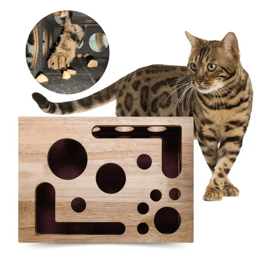 🎁😻 Cat Scratch Puzzle Enrichment Box Stress-Free Nail Care Without Clippers or Grinders