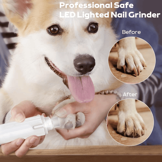 2-in-1 Pet Nail Clipper & Grinder with LED Light-Trim, Grind & Protect — All in One