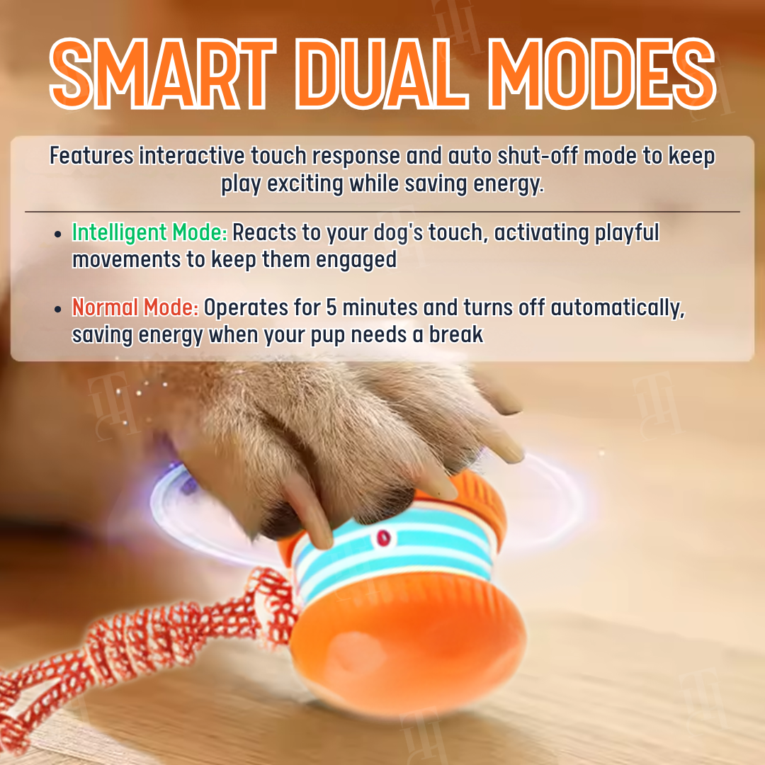 Smart Interactive Dog Ball ⚡ Self-Rolling & Durable TPU | Cures Boredom