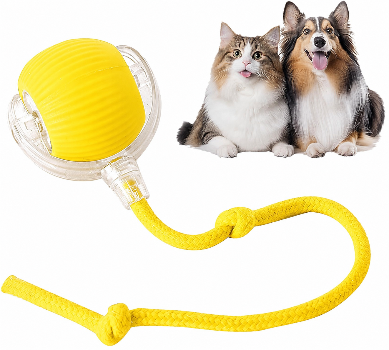 Smart Chase Pet Toy Ball