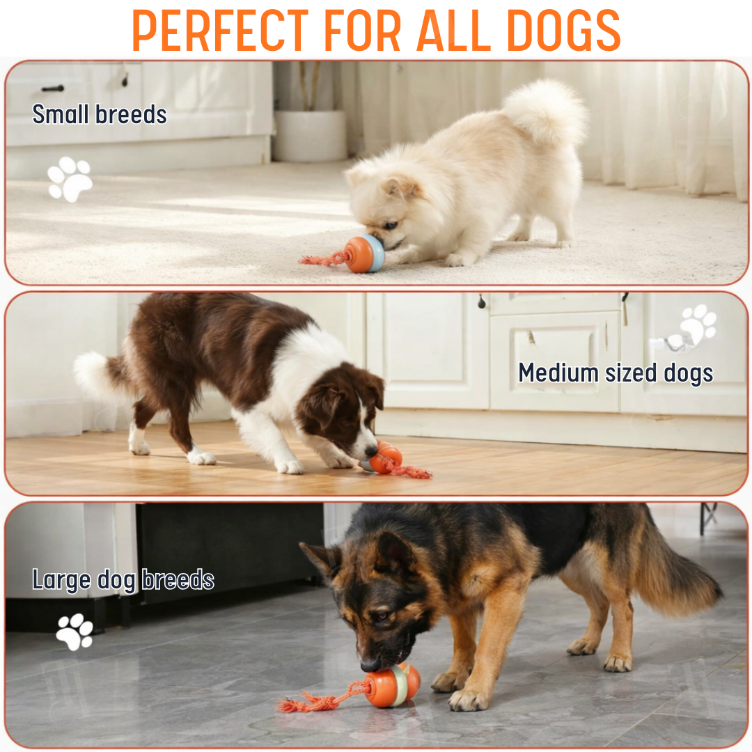 Smart Interactive Dog Ball ⚡ Self-Rolling & Durable TPU | Cures Boredom
