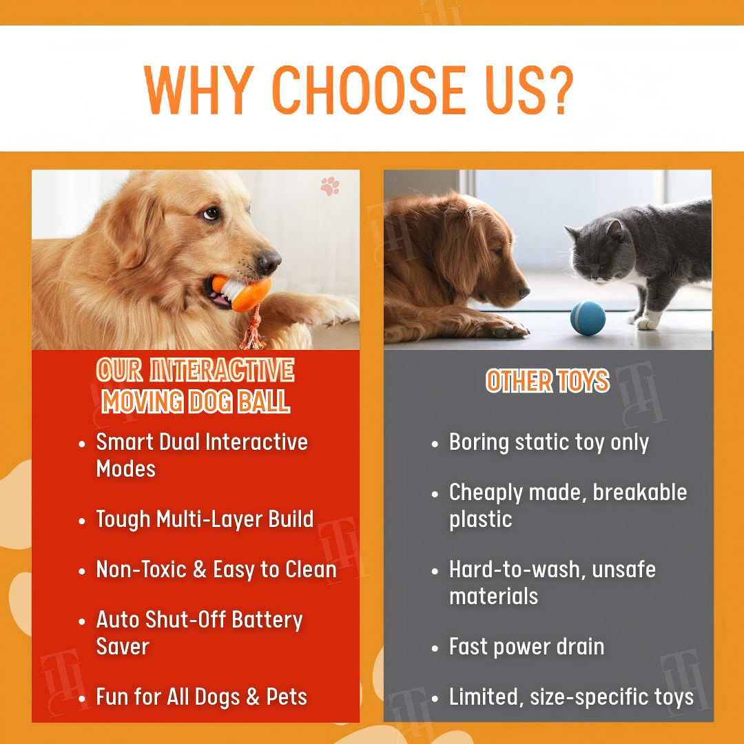 Smart Interactive Dog Ball ⚡ Self-Rolling & Durable TPU | Cures Boredom