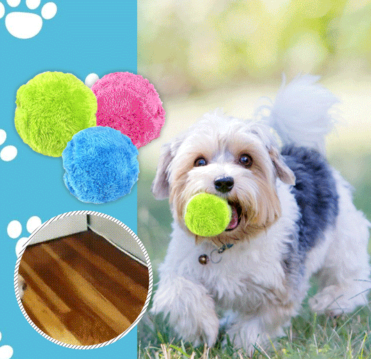 Active Rolling Ball