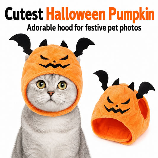 Pumpkin Bat Pet Costume Hood for Halloween Photos
