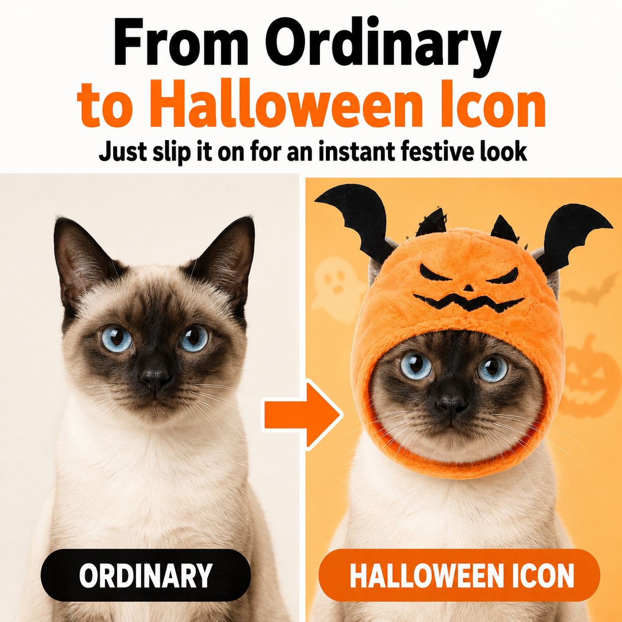 Pumpkin Bat Pet Costume Hood for Halloween Photos