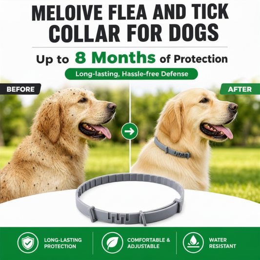 Meloive Flea and Tick Collar for Dogs
