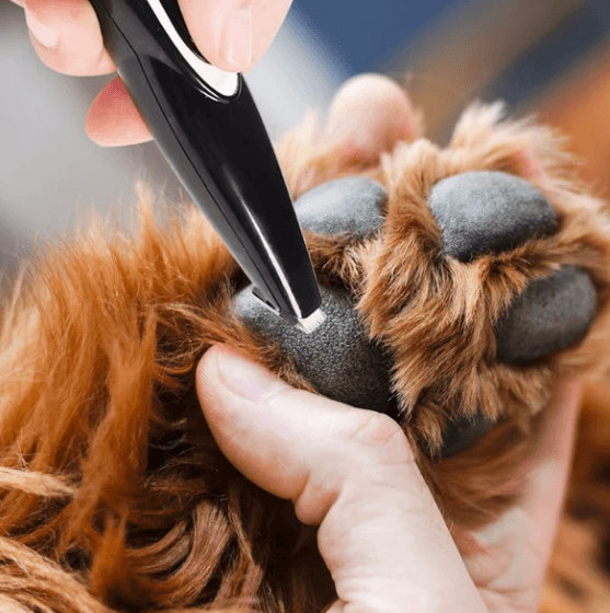 Electric Pet Paw Hair Trimmer