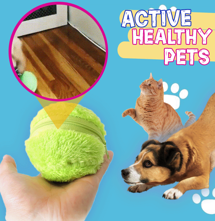 Active Rolling Ball