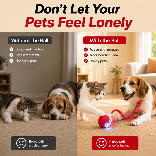 Smart Interactive Automatic Electric Rolling Moving Rechargeable Motion Activated Rolling Cat Dog Interactive Ball Toy