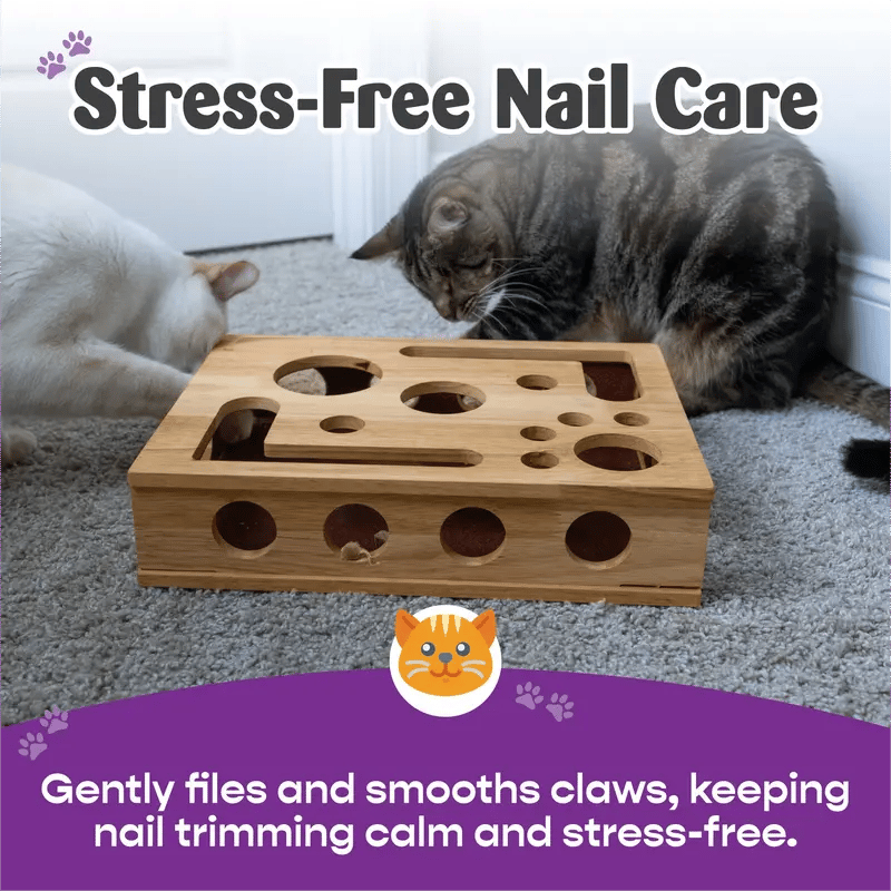 🎁😻 Cat Scratch Puzzle Enrichment Box Stress-Free Nail Care Without Clippers or Grinders
