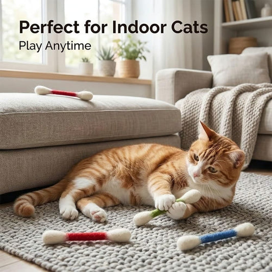 😻 Keep Indoor Cats Happy, Active & Out of Trouble,6PCS Interactive Cat Toy Set